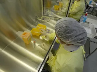 科目紹介｜薬学科｜北海道科学大学